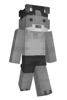 5wal Minecraft avatar full body