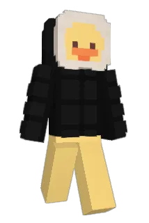 5wc Minecraft avatar full body