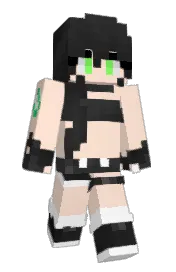 Skin preview