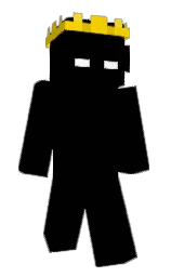 black and school bus yellow Minecraft skin — Slim model — first worn by Fuudy