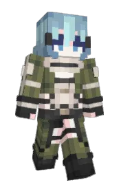 Skin preview