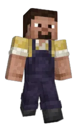 Minecraft skin — Classic model