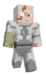 wheresthetowers's Minecraft skin wearing the Migrator cape