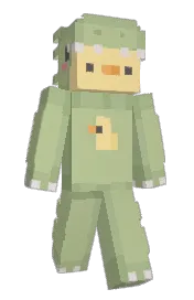 Skin preview
