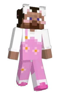 Front of ImSteveHarvey's skin