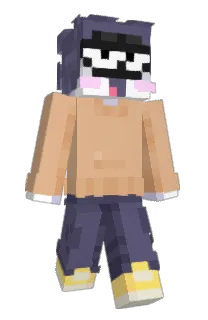 Front of ShawSure's skin