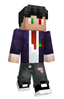 Front of disdez's skin