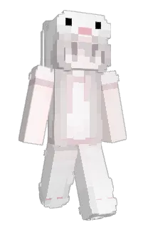 Front of 4jn's skin