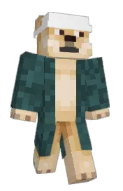 Skin preview