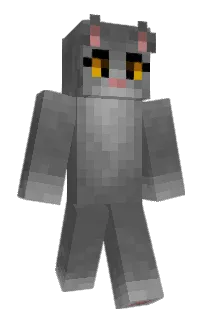 Front of REALNotFound's skin