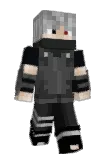 6066_ Minecraft avatar full body