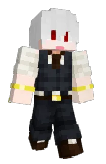 Front of 55odam's skin