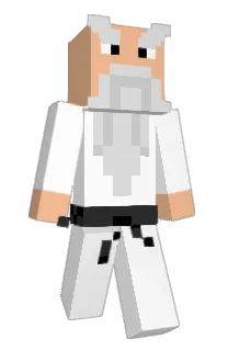 p4lmer20's Minecraft skin