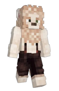 Front of arkatop's skin