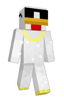 Front of pds__'s skin
