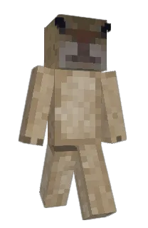 Front of Tjuv's skin