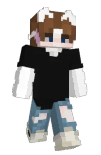 Front of WillIsWise's skin