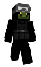 Minecraft skin — Classic model