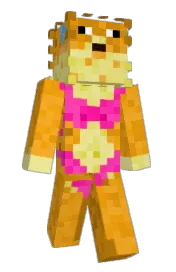 Skin preview