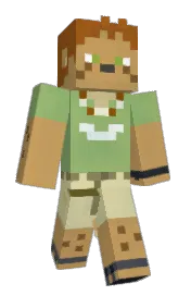 Skin preview