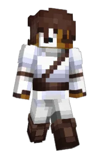 Front of Caxify's skin
