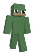 netpvp