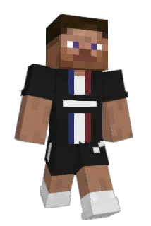 60__ Minecraft avatar full body