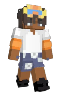 Front of TaxTime's skin