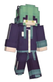 Skin preview