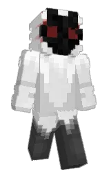 Back of Minecraft skin