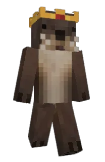 Front of LQPS's skin