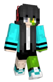 Skin preview