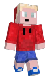 Front of PIMJOCHEM's skin