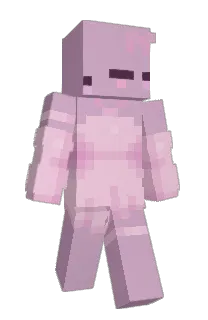 Front of MangoConMayonesa's skin