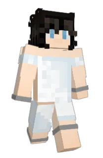 fectorized's Minecraft skin