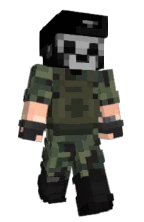 Front of Gatoboom's skin