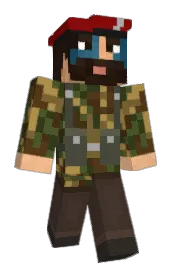 Skin preview