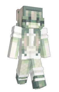 Front of Wigitalus2's skin