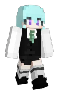 Front of IJYU22's skin