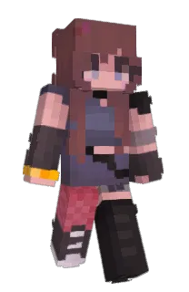 Front of Trip_it's skin