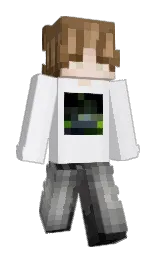 Slim Minecraft skin