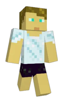 tankers21's Minecraft skin