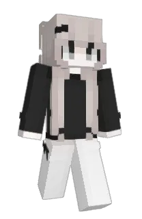 Front of e11a's skin