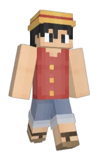 Front of Skuiid's skin