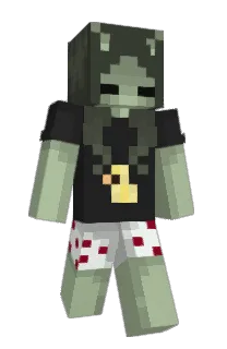 Front of Courseturtle616's skin