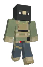 Skin preview