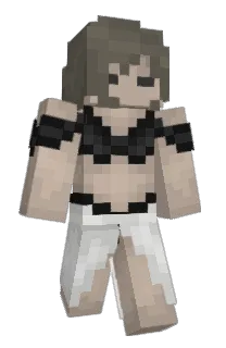 Winterygaming's Minecraft skin