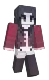 Minecraft skin — Classic model