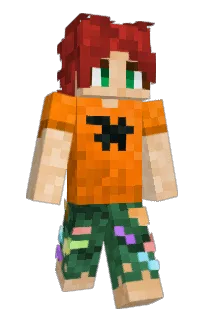Front of Tallyment's skin