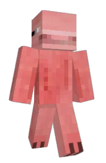 Front of Minecraft skin